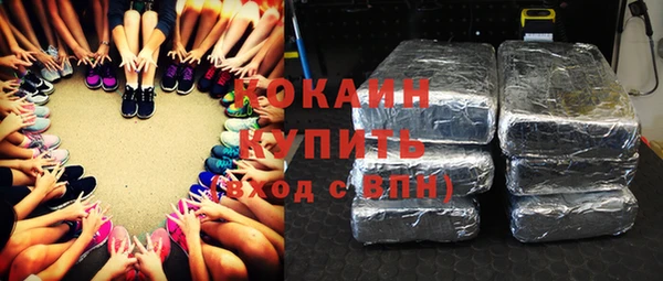 молекула духа Алексин
