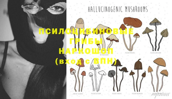 стафф Абаза